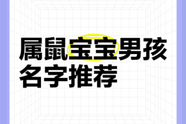 下午出生的属鼠男孩如何起名才合适姓名