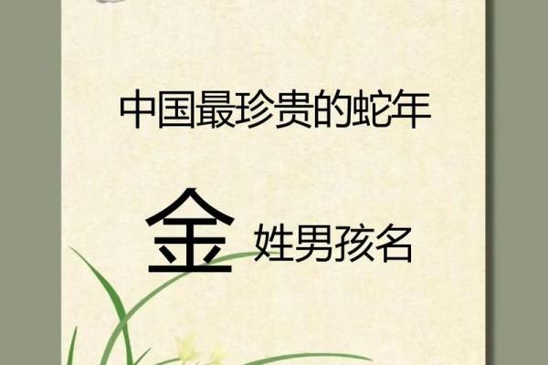 2019年4月14号寅时出生的男孩如何起名姓名