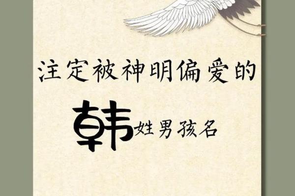 韩姓男孩名字大全-韩姓男孩起名字大全-韩姓名字大全姓名