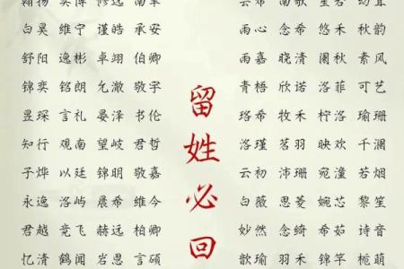 2019年3月18号未时出生的男孩如何起名姓名
