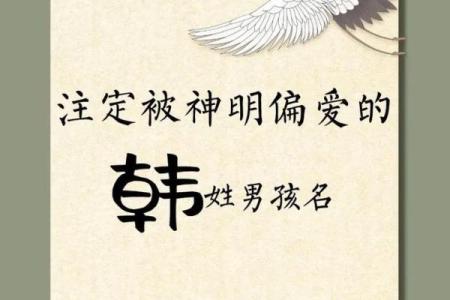 韩姓男孩名字大全-韩姓男孩起名字大全-韩姓名字大全姓名