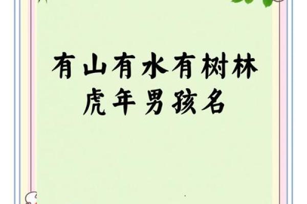 中午1点出生的属虎男孩如何起名，适合什么字姓名