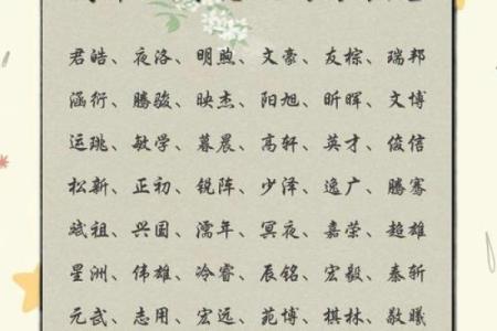 2019年5月10号丑时出生的男孩起名方法姓名