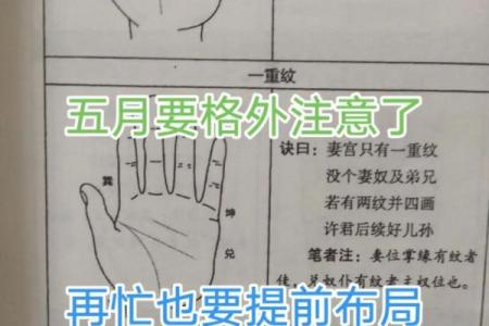 早上八点出生的属猴男孩如何起名，应用什么字姓名
