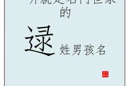 2019年6月30号寅时出生的男孩如何起名姓名