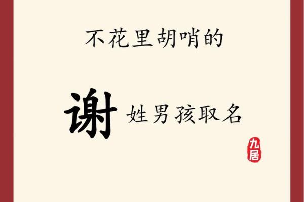 2019年6月25号子时出生的男孩起名方法姓名