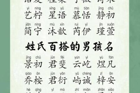 2019年5月1号丑时出生的男孩起名时要注意什么姓名