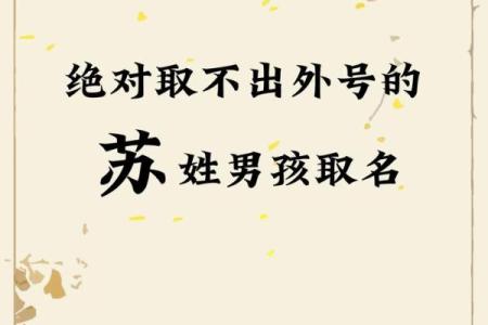 姓苏的名人-名人大全-姓名学-华易算命网姓名