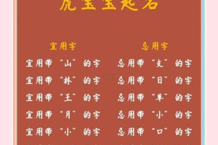 属鸡寅时出生的男孩如何取名，宜用什么字姓名