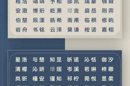 2019年4月19号寅时出生的男孩如何起名姓名