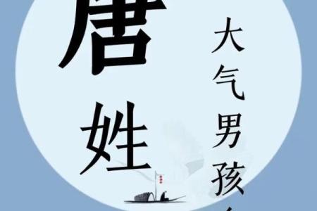 唐姓氏的家谱记载和各支始祖-姓名学-华易网姓名
