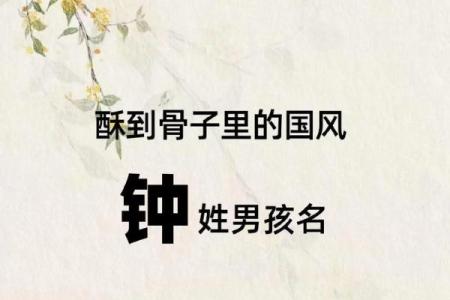 钟姓女孩名字大全-钟姓女孩起名字大全-钟姓名字大全姓名