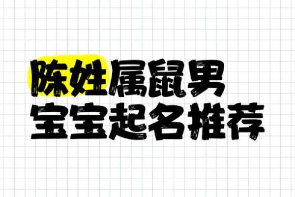 晚上9点出生的属鼠男孩好名推荐姓名