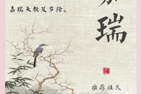 上午出生的属虎男孩适合起什么名，用什么字姓名