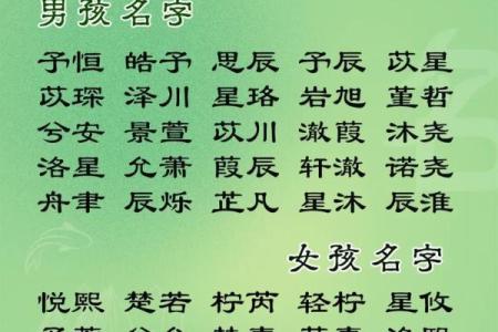 2019年4月29号辰时出生的男孩起名时要注意什么姓名