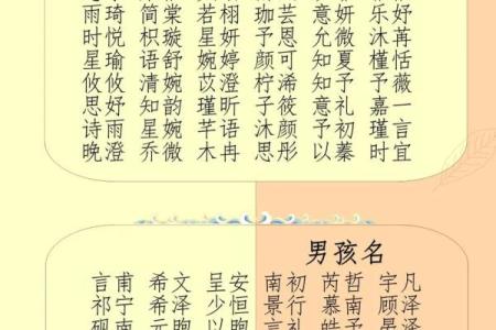 2019年6月25号丑时出生的男孩起名方法姓名