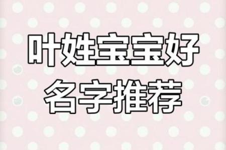 姓叶的名人-姓名学-华易算命网姓名