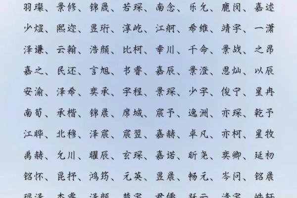 2019年5月19号寅时出生的男孩应该起什么样的名字姓名