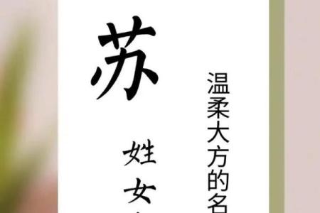 苏姓女孩名字大全-苏姓女孩起名字大全-苏姓名字大全姓名