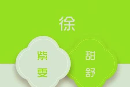 徐姓男孩名字大全-徐姓男孩起名字大全-徐姓名字大全姓名