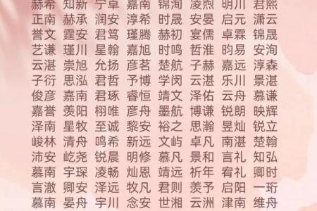 2019年6月14号寅时出生的男孩如何起名姓名