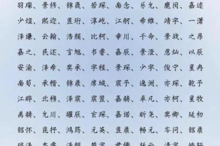 2019年5月19号寅时出生的男孩应该起什么样的名字姓名