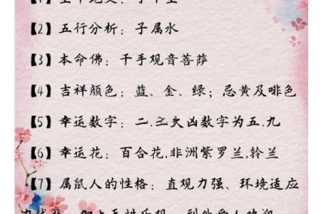 中午1点出生的属鼠男孩用什么字取名比较好姓名