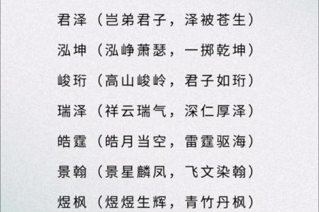2019年3月25号辰时出生的男孩起名方法姓名