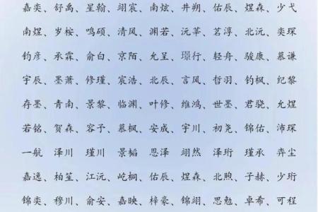 2019年4月6号辰时出生的男孩要怎么起名字姓名