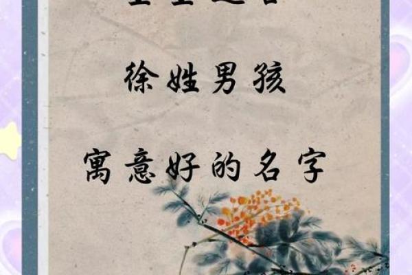 2019年出生的姓徐男孩如何起名，宜用什么字姓名