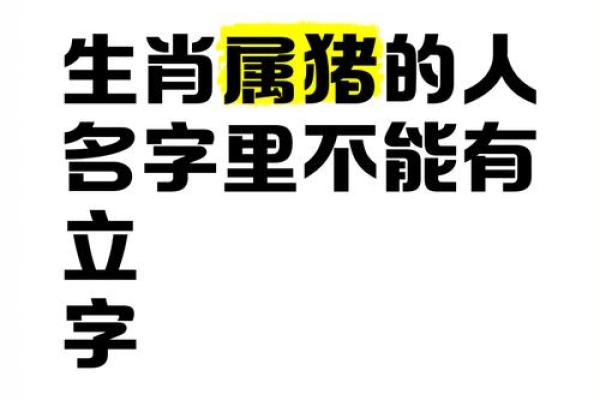如何给属猪申时出生的男孩取个好名字姓名
