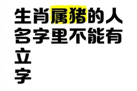 如何给属猪申时出生的男孩取个好名字姓名