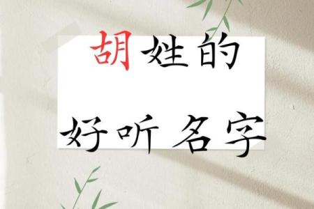 胡姓女孩名字大全-胡姓女孩起名字大全-胡姓名字大全姓名