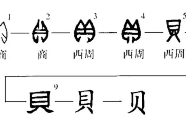 贝姓女孩名字大全-贝姓女孩起名字大全-贝姓名字大全姓名