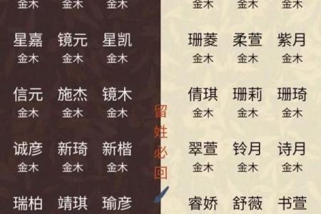2019年4月9号卯时出生的男孩如何起名姓名