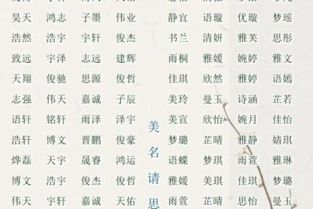 2019年5月14号丑时出生的男孩起名时要注意什么姓名