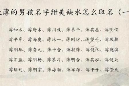 2019年6月27号寅时出生的男孩起名方法姓名