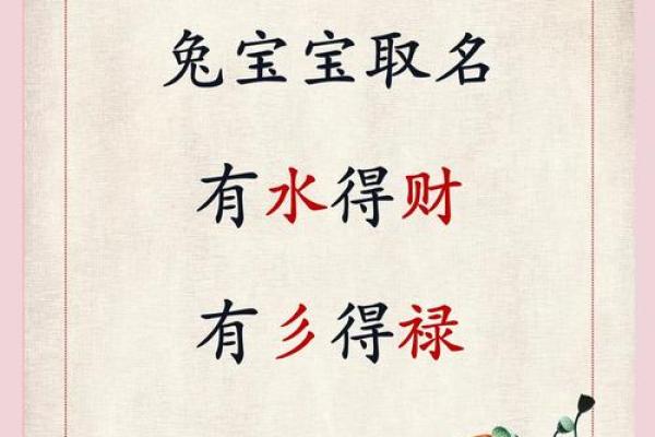 属兔辰时出生的男孩最好用什么字取名姓名