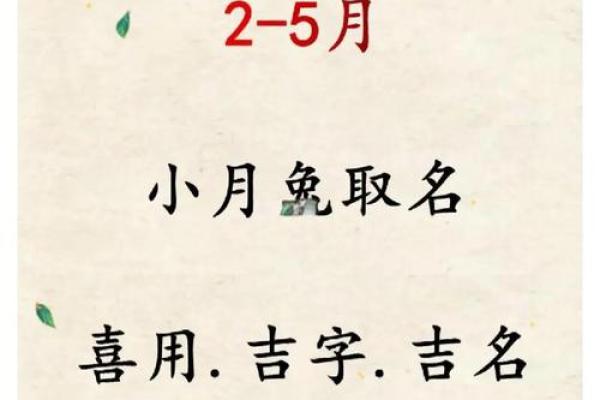 属兔辰时出生的男孩最好用什么字取名姓名
