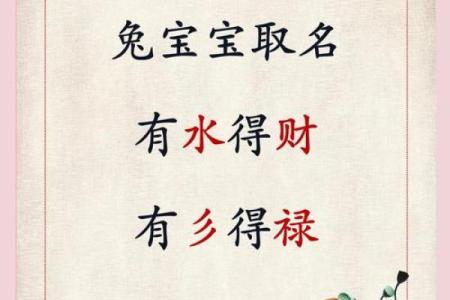 属兔辰时出生的男孩最好用什么字取名姓名