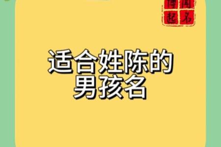 2019年6月22号子时出生的男孩应该起什么样的名字姓名