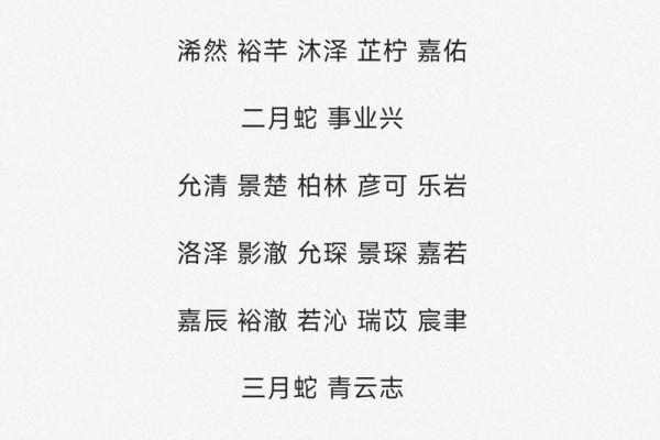 晚上9点出生的属蛇男孩该如何起名，适合用什么字姓名