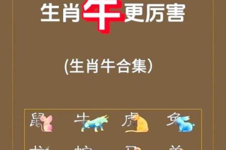 傍晚出生的属牛男孩如何起名姓名