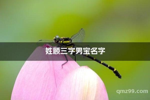 顾姓男孩名字大全-顾姓男孩起名字大全-顾姓名字大全姓名