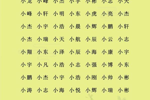 2019年3月19号寅时出生的男孩应该起什么样的名字姓名