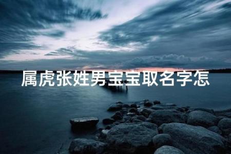 早上7点出生的属虎男孩怎么起名，适合什么字姓名