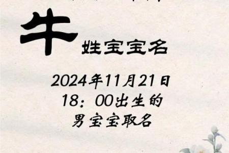 晚上12点出生的属牛男孩适合用什么字取名姓名
