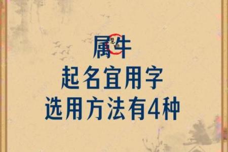 如何给辰时出生的属牛男孩起名姓名