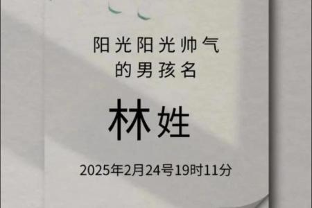 2019年4月24号卯时出生的男孩如何起名姓名