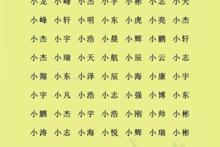2019年3月19号寅时出生的男孩应该起什么样的名字姓名